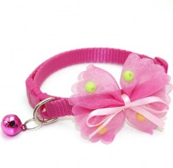 Κανένα σετ εικόνων 