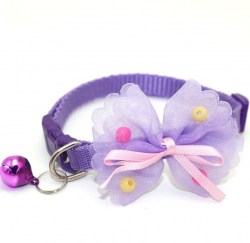 Κανένα σετ εικόνων 