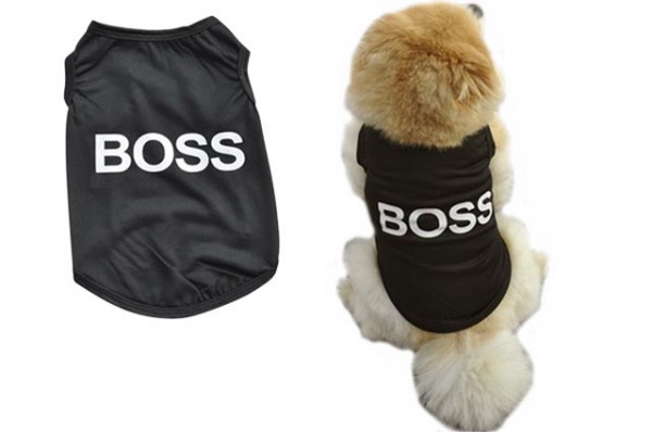 Κανένα σετ εικόνων 