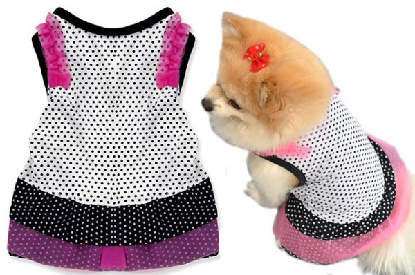 Κανένα σετ εικόνων 