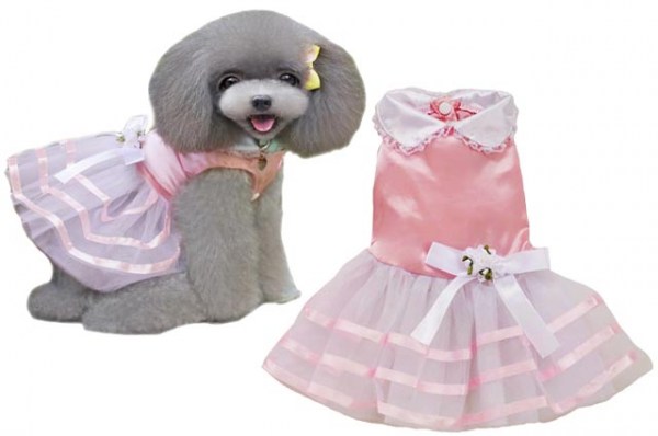 Κανένα σετ εικόνων 