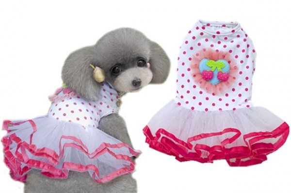 Κανένα σετ εικόνων 