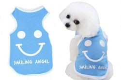 Κανένα σετ εικόνων 