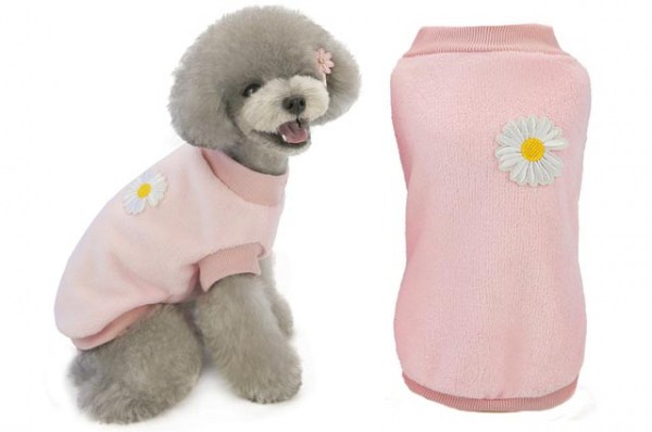 Κανένα σετ εικόνων 