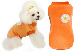 Κανένα σετ εικόνων 