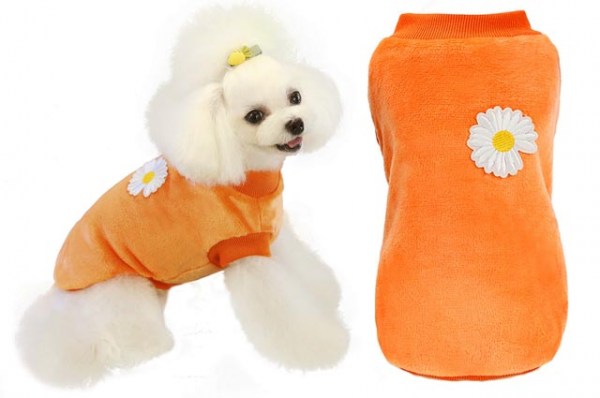 Κανένα σετ εικόνων 