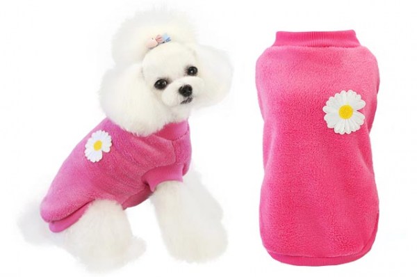 Κανένα σετ εικόνων 