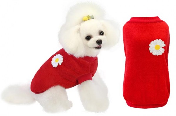 Κανένα σετ εικόνων 