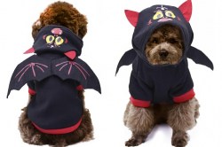 Κανένα σετ εικόνων 