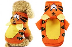 Κανένα σετ εικόνων 