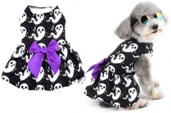 Κανένα σετ εικόνων 