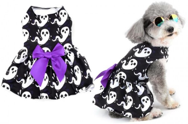 Κανένα σετ εικόνων 