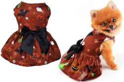 Κανένα σετ εικόνων 