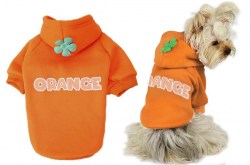 Κανένα σετ εικόνων 