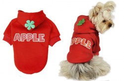 Κανένα σετ εικόνων 