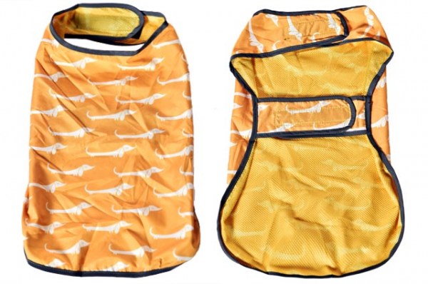 Κανένα σετ εικόνων 