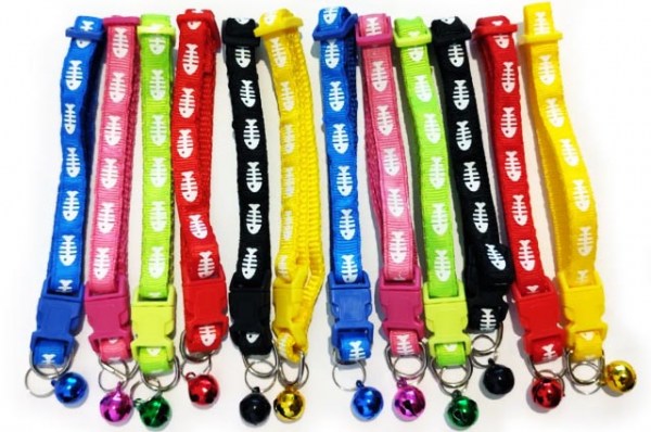 Κανένα σετ εικόνων 