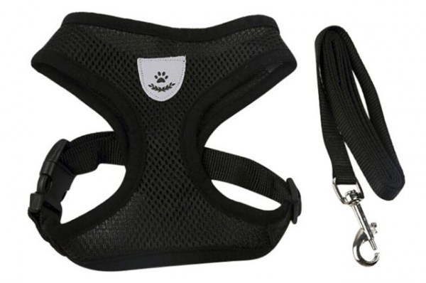 Κανένα σετ εικόνων 