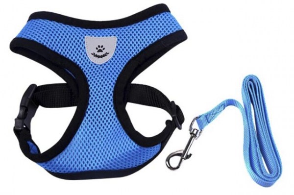 Κανένα σετ εικόνων 