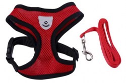 Κανένα σετ εικόνων 