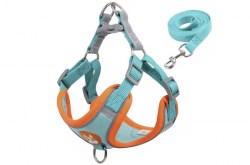 Κανένα σετ εικόνων 