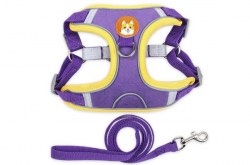 Κανένα σετ εικόνων 