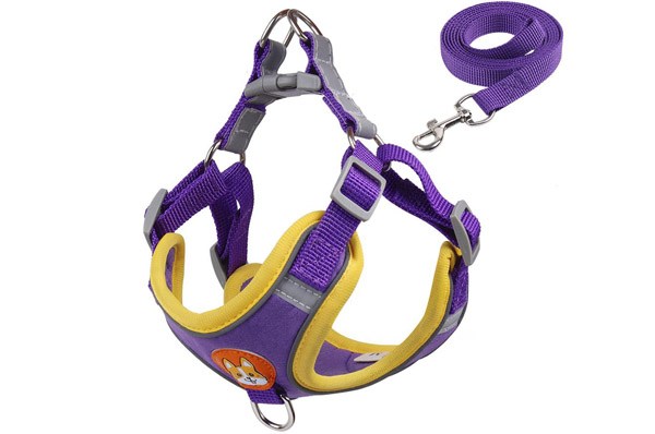 Κανένα σετ εικόνων 