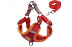 Κανένα σετ εικόνων 