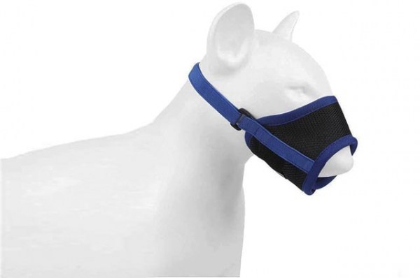 Κανένα σετ εικόνων 