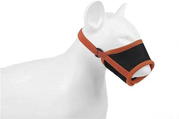 Κανένα σετ εικόνων 