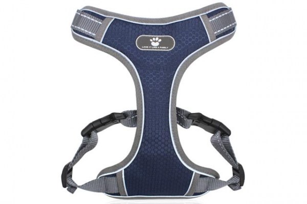 Κανένα σετ εικόνων 