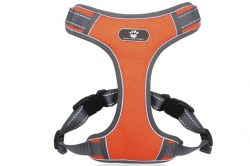 Κανένα σετ εικόνων 