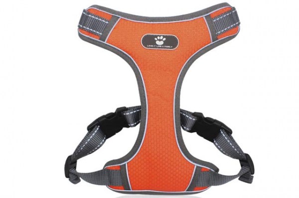 Κανένα σετ εικόνων 