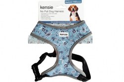 Κανένα σετ εικόνων 