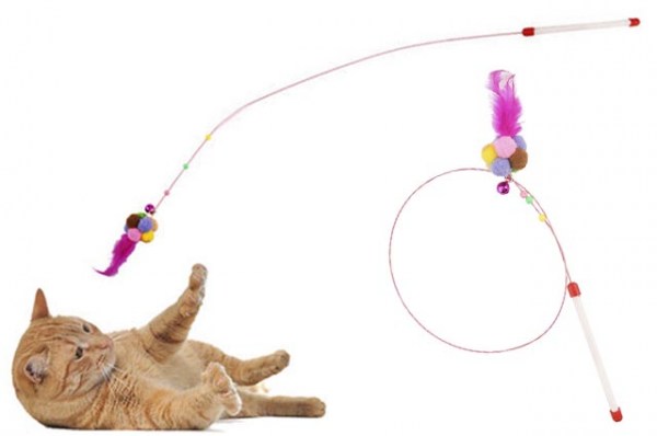 Κανένα σετ εικόνων 