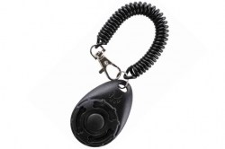 Κανένα σετ εικόνων 